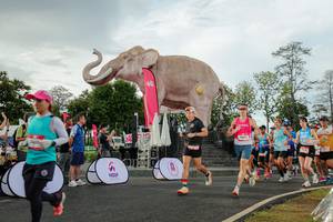 BIB: 
                            <button type="button" onclick="openModal(26528307)" class="btn btn-primary btn-sm float-right btn-popup" data-toggle="modal" data-target=".modal-high-quality">
                        <i class="fas fa-shopping-cart"></i> Add to Cart
                    </button>
                                            <button type="button" onclick="isThisMe(26528307, true)" class="btn btn-success btn-sm float-right btn-popup btn-isme hidden" data-toggle="tooltip" data-placement="bottom" title="นี่คือรูปของคุณใช่ไหม คลิกที่นี่เพื่อเอาเข้าอัลบั้ม">
                        <i class="fas fa-plus"></i> Add to album
                    </button>
                    <button type="button" onclick="isThisMe(26528307, false)" class="btn btn-warning btn-sm float-right btn-popup btn-isnotme hidden">
                        <i class="fas fa-ban"></i> Remove from album
                    </button>